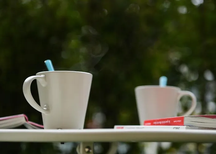 Appartement Chamois Blanc - 27 *