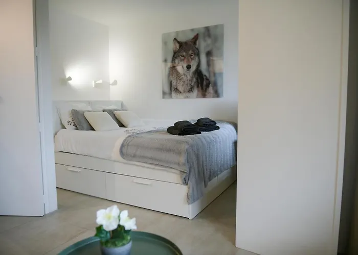 Appartement Chamois Blanc - 27 *